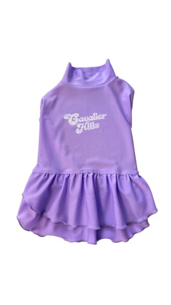 画像38:  Ｍサイズ・カラー限定 【残り1着】Cavasuits チアワンピ (38)