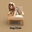 画像1: Dog Chair (1)