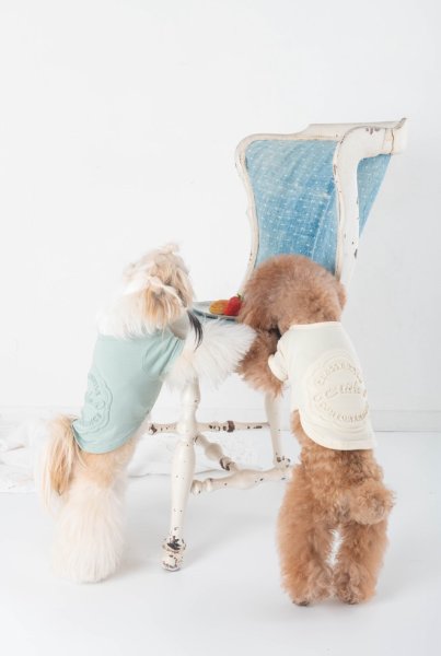 画像10: 【Riche】クラッシースタイルTシャツ (10)