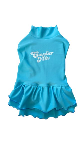 画像36:  Ｍサイズ・カラー限定 【残り1着】Cavasuits チアワンピ (36)