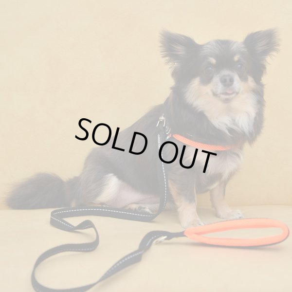 画像2:  【30％OFF】 リード【トレポンティ】Soft Mesh Leash (2)
