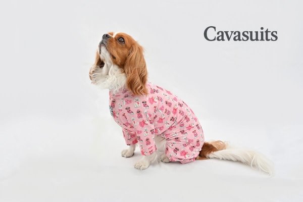 画像2:  【注文受付中】  12月新作 【キャバスーツ LIMITED】M.L.B.（MY LOVELY BUDDY） (2)