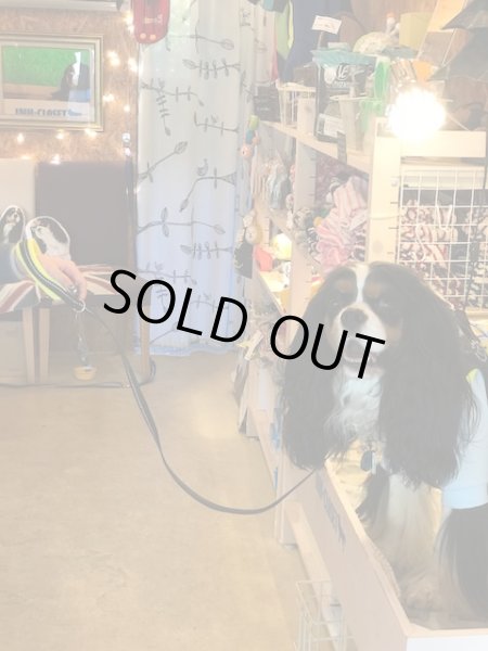 画像4:  【30％OFF】 リード【トレポンティ】Soft Mesh Leash (4)