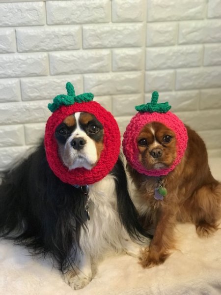 画像2: すあませいさくしょ☆いちごっ子スヌード (2)