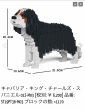 画像6: JEKCAブロック【キャバリアSサイズ】 (6)