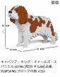 画像4: JEKCAブロック【キャバリアSサイズ】 (4)