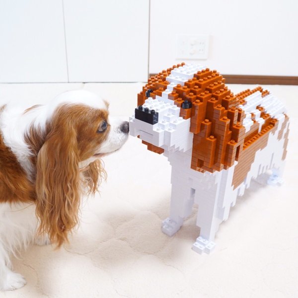 画像9: JEKCAブロック【キャバリアMサイズ】 (9)