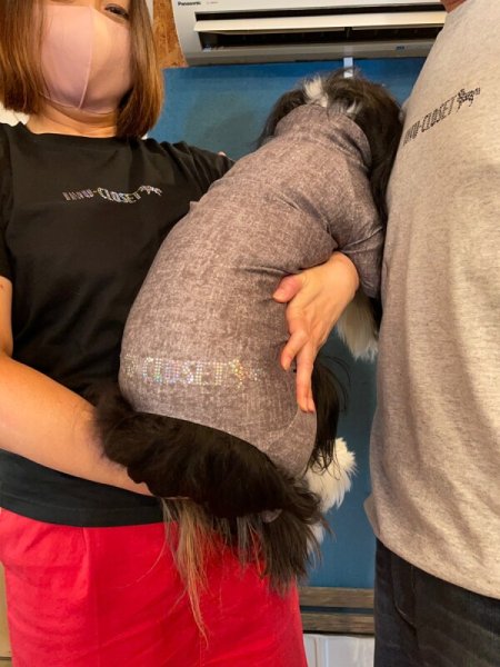 画像6: 【GRAY】INU-CLOSET ロゴ★スパングルTシャツ (6)