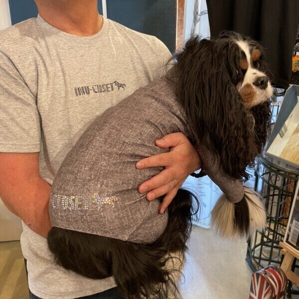 画像4: 【GRAY】INU-CLOSET ロゴ★スパングルTシャツ (4)