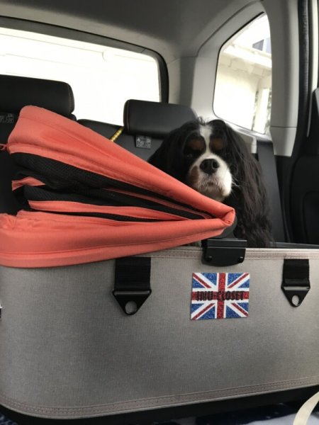 画像12: エアバギー用　DOME3コット単体 【REGULARサイズ】 (12)