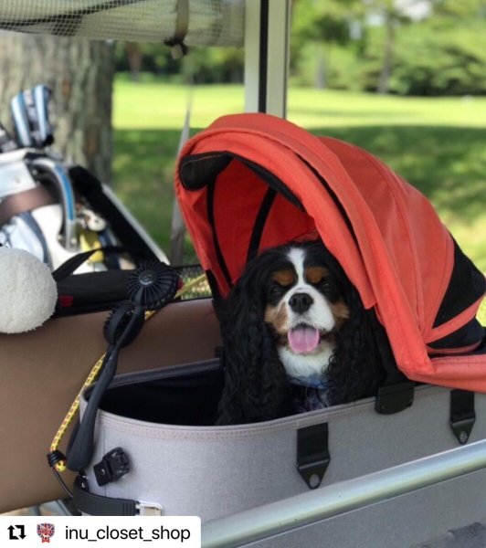 画像8: エアバギー用　DOME3コット単体 【REGULARサイズ】 (8)