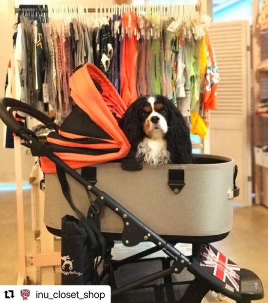 画像7: エアバギー用　DOME3コット単体 【REGULARサイズ】 (7)