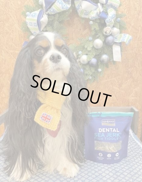 画像2: 【FISH4DOGS】シージャーキー ティドラー（575g）（DENTAL） (2)