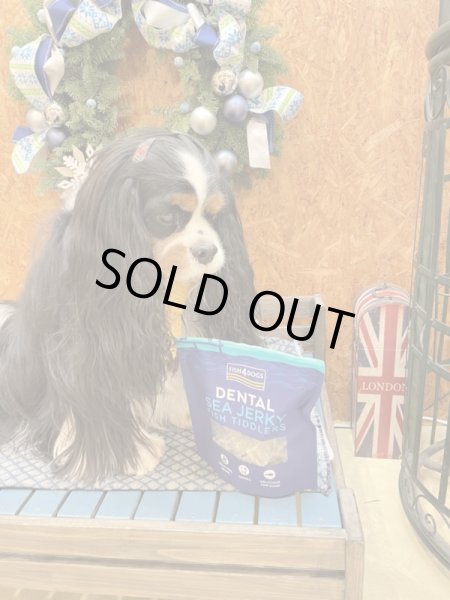 画像3: 【FISH4DOGS】シージャーキー ティドラー（575g）（DENTAL） (3)