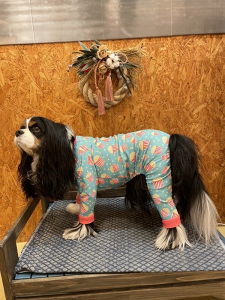 画像4:  人気★再販 【キャバスーツ LIMITED】POPCORN (4)