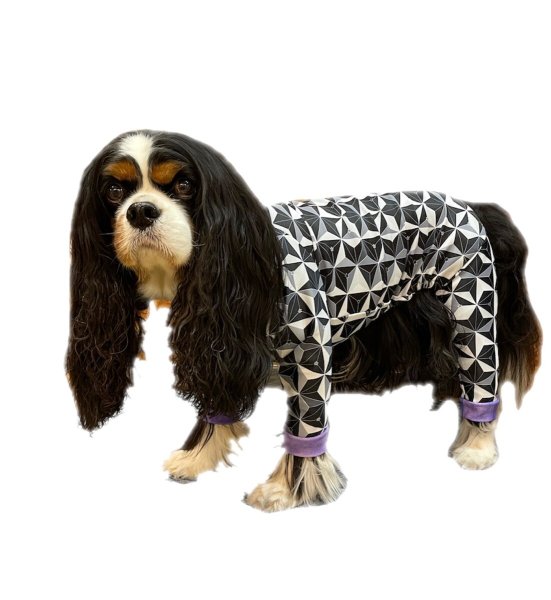 画像3: キャバスーツ試着セット(430円分ポイントバック付き) (3)