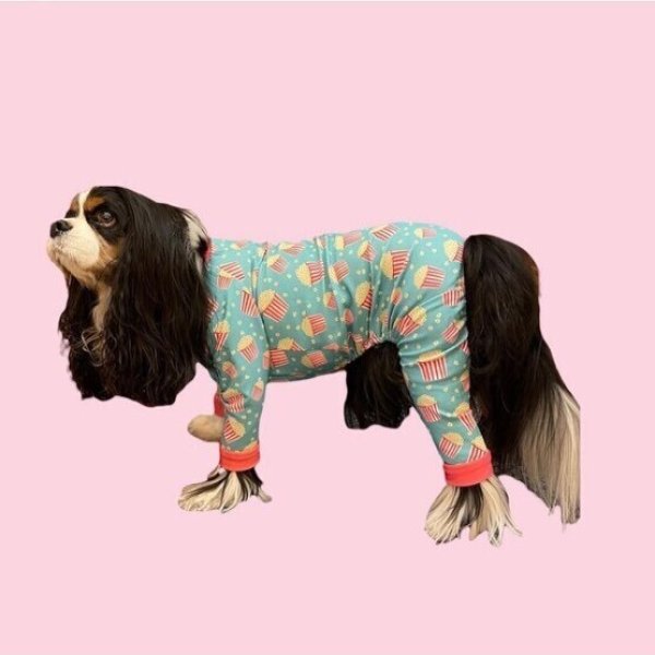 画像4: キャバスーツ試着セット(430円分ポイントバック付き) (4)