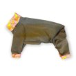 画像1: 50%OFF【キャバスーツ】ピカデリー (1)
