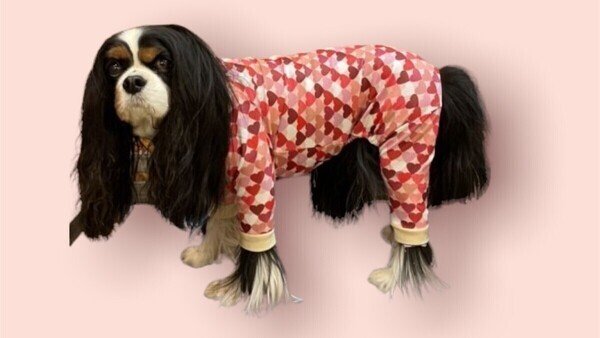 画像5: 【30%OFF】【キャバスーツ LIMITED】ダンシングハート:PINK (5)