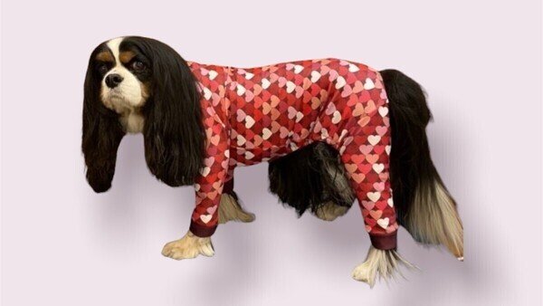 画像5: 【30%OFF】【キャバスーツ LIMITED】ダンシングハート:RED (5)