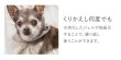 画像15:  【30%OFF】 2022モデル【ボタン付・Ｓサイズのみ】SUO for dogs 28°ICE_COOL RING（犬用アイスクールリング） (15)