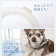 画像8:  【30%OFF】 2022モデル【ボタン付・Ｓサイズのみ】SUO for dogs 28°ICE_COOL RING（犬用アイスクールリング） (8)