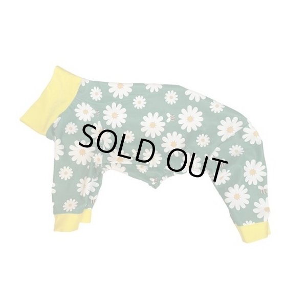 画像1:  人気・再販 【キャバスーツ LIMITED】HONEY BEE (1)