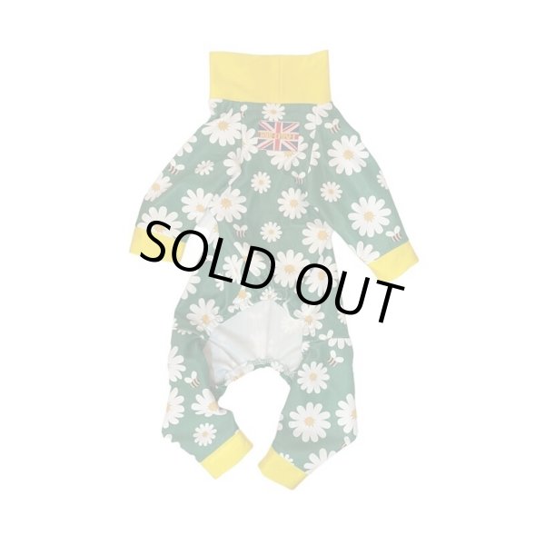 画像2:  人気・再販 【キャバスーツ LIMITED】HONEY BEE (2)