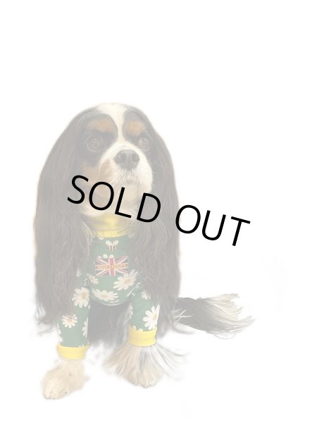 画像3:  人気・再販 【キャバスーツ LIMITED】HONEY BEE (3)