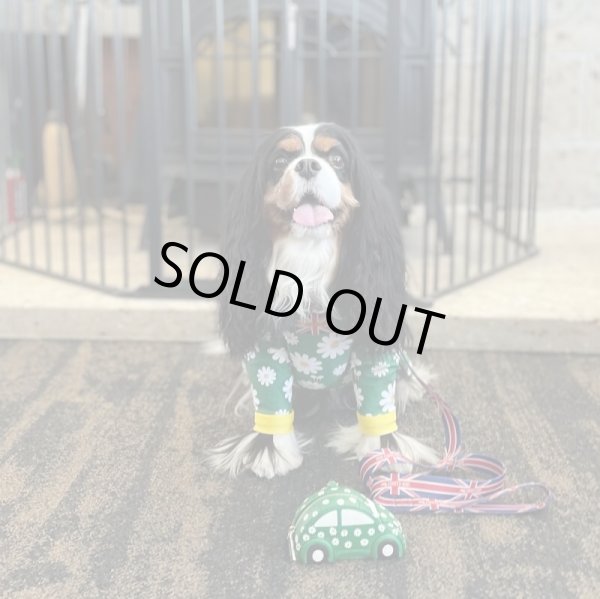 画像5:  人気・再販 【キャバスーツ LIMITED】HONEY BEE (5)