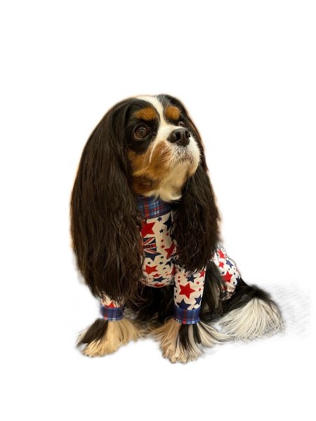 画像3: 残りXLのみ 【50%OFF】 【キャバスーツ LIMITED】BABY STAR (3)