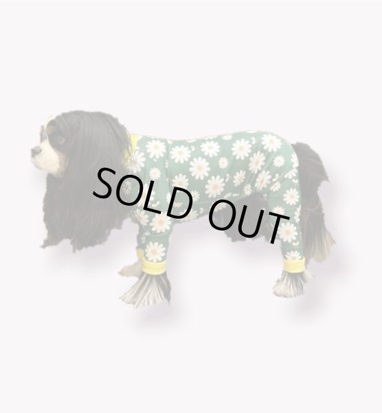 画像4:  人気・再販 【キャバスーツ LIMITED】HONEY BEE (4)