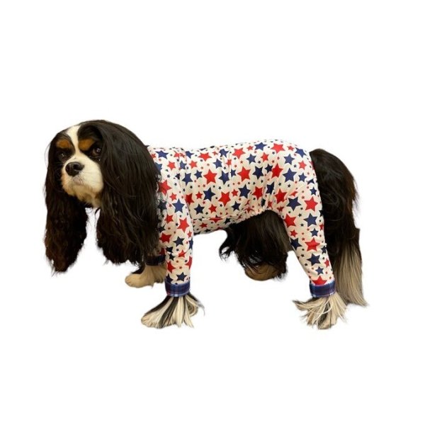 画像4: 残りXLのみ 【50%OFF】 【キャバスーツ LIMITED】BABY STAR (4)