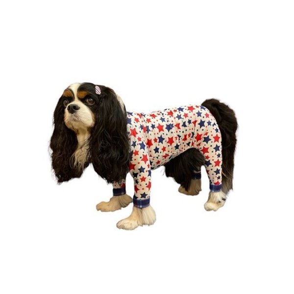 画像5: 残りXLのみ 【50%OFF】 【キャバスーツ LIMITED】BABY STAR (5)