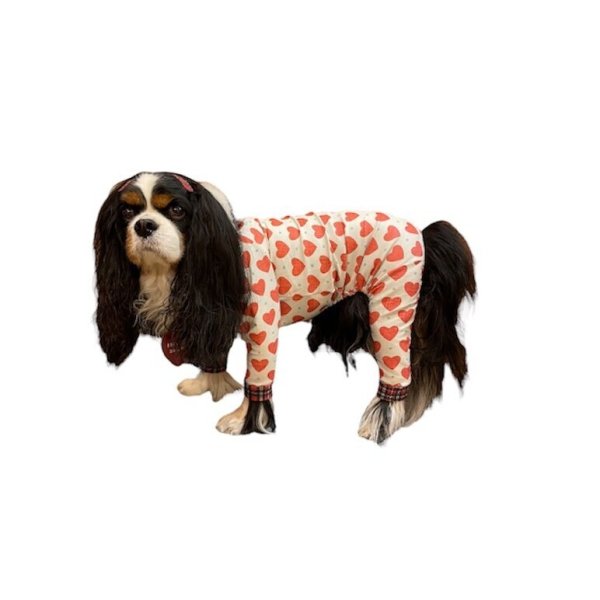 画像3:  10％OFF 【キャバスーツ LIMITED】LOVE & CHECK (3)