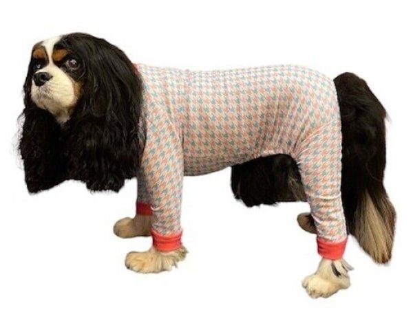 画像3:  10％OFF 【キャバスーツ LIMITED】ラムネchidori (3)