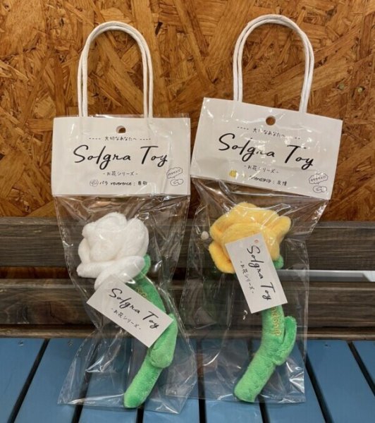 画像8: 【Solgra】薔薇 (8)