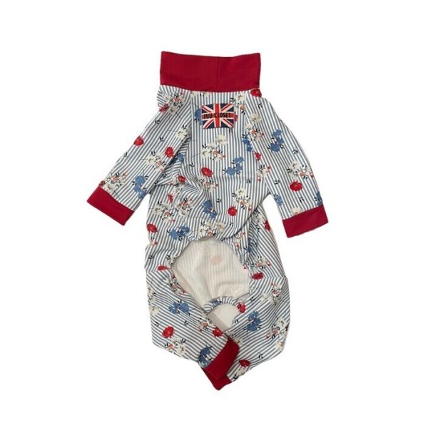 画像2: 【キャバスーツ LIMITED】エレガント (2)