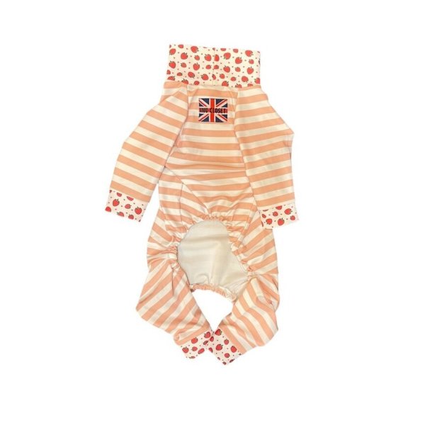 画像2:  10％OFF 【キャバスーツ LIMITED】いちごボーダー (2)