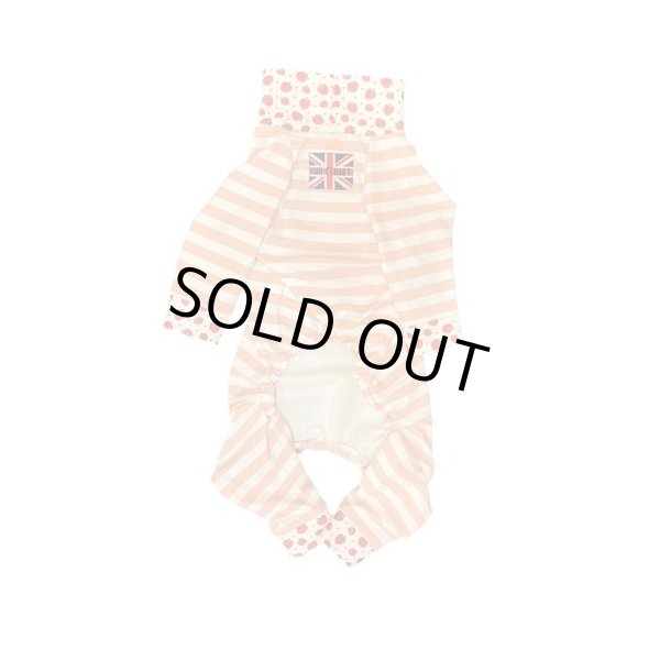 画像2:  10％OFF 【キャバスーツ LIMITED】いちごボーダー (2)