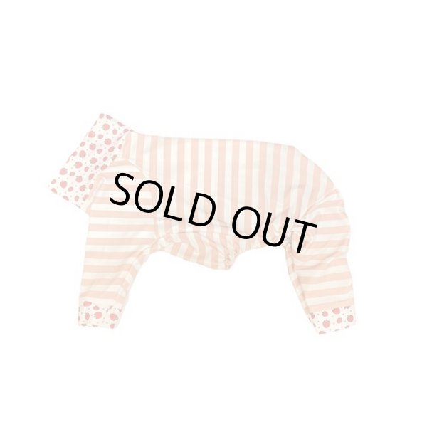 画像1:  10％OFF 【キャバスーツ LIMITED】いちごボーダー (1)