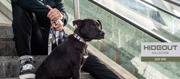 画像15: 【リード】WOLF GANG /HideOut LEASH (15)