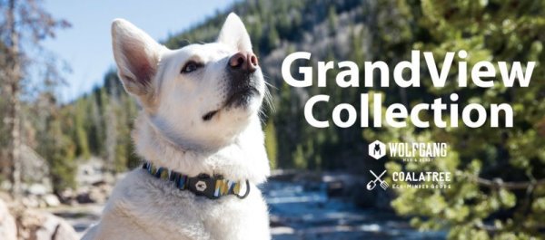 画像17: 【首輪】WOLF GANG /GrandView COLLAR (17)