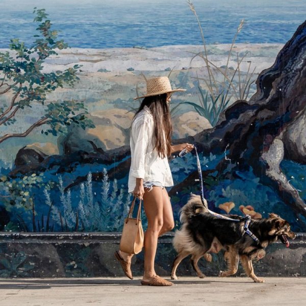 画像15: 【首輪】WOLF GANG /MountainWave COLLAR (15)