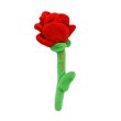 画像6: 【Solgra】薔薇 (6)