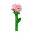 画像7: 【Solgra】薔薇 (7)
