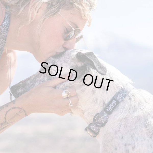 画像2: 【首輪】WOLF GANG /WolfMountain COLLAR (2)