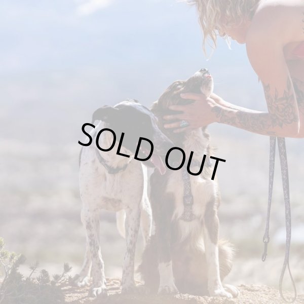 画像7: 【首輪】WOLF GANG /WolfMountain COLLAR (7)