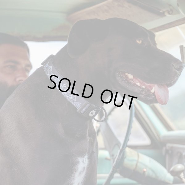 画像6: 【首輪】WOLF GANG /WolfMountain COLLAR (6)