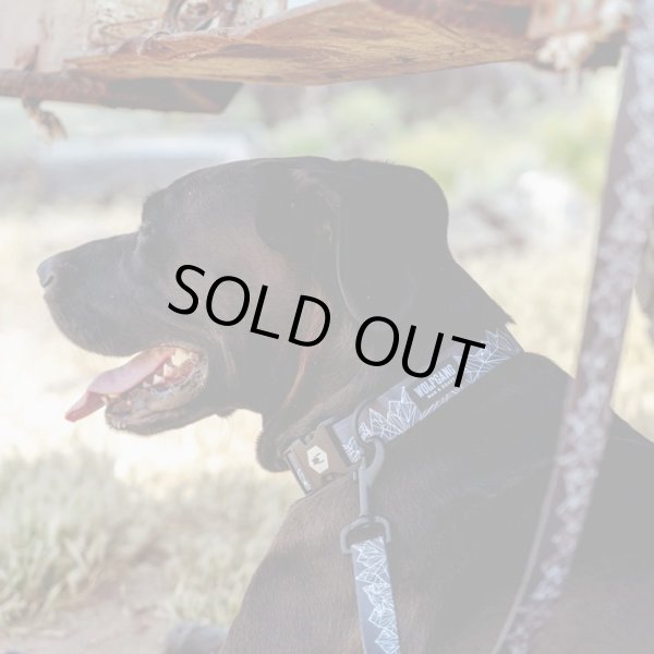 画像4: 【リード】WOLF GANG /WolfMountain LEASH (4)